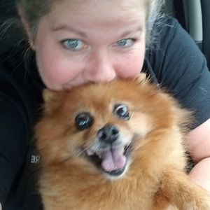 Meet your Posher, Joanie